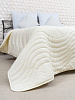 Одеяло стеганое Comfort Sleep (300 гр) 172х205 тик овца